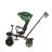 Chipolino Max Sport tricikli kupolával - Jungle 
