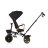 Chipolino Max Sport tricikli kupolával - Blackberry 